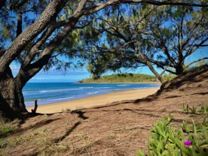 QLD Vacation Rentals Quick Guide ()